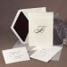 Translucent Ecru Invitation