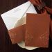 Copper Stardream Reception Folder