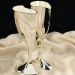 Silver Interlocking Flute Set